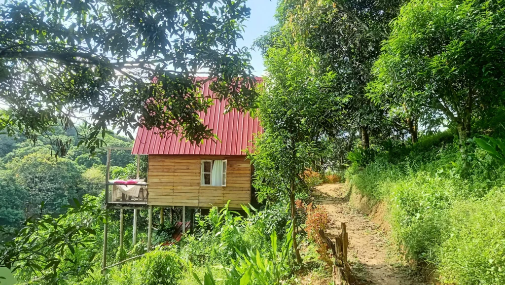 Wild Lake Eco Resort B Point Room Outside